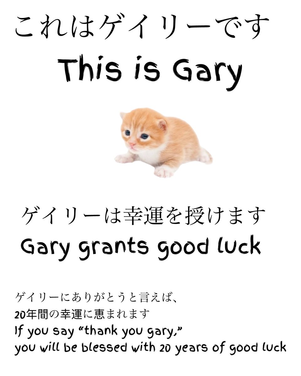 Gary’s World 🌎 tweet media