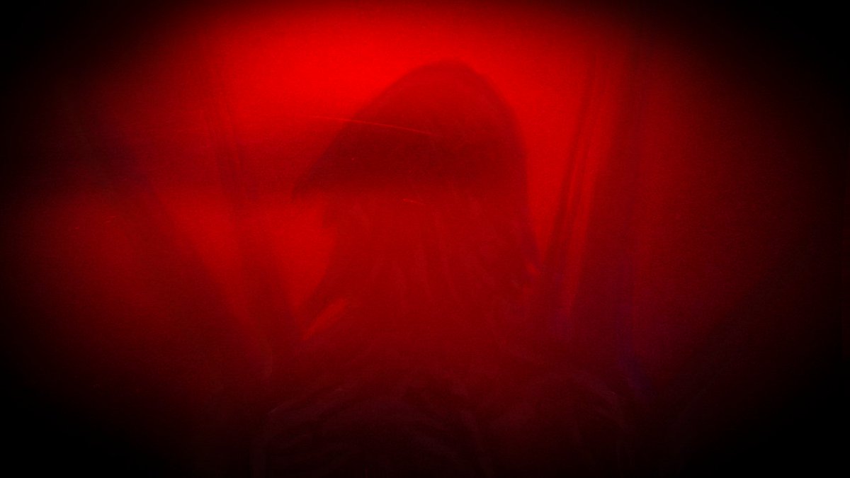 #screenshotsaturday #indiedev #indiegame #visualnovel 
Love Will Tear Us Apart is a little sound novel inspired by Silent Hill and Kamitachi No Yoru. It's short and was made for a horror vn jam. 
Play it and rate it here: itch.io/jam/spooktober…

Feedback is appreciated!