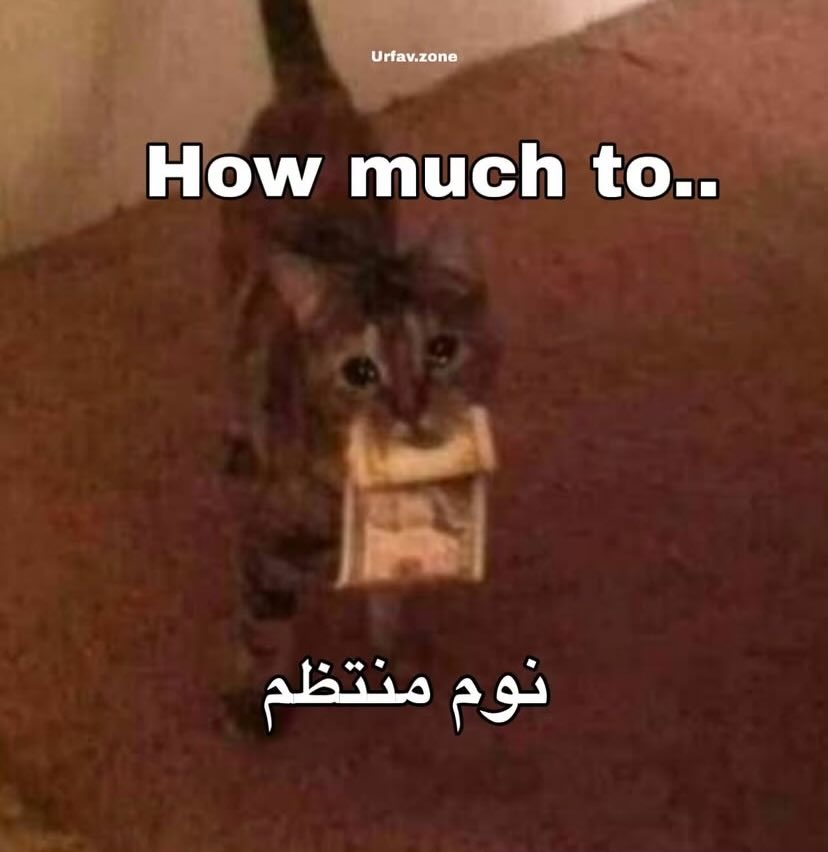 Memesawyy's tweet photo. https://t.co/r1idH01Nfm