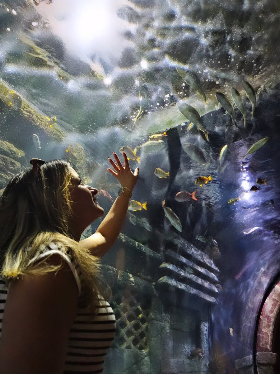 An underwater world awaits! 🐟⁣