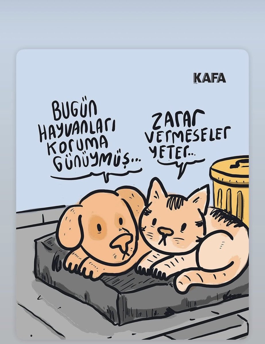 LM (@leycem2) on Twitter photo 