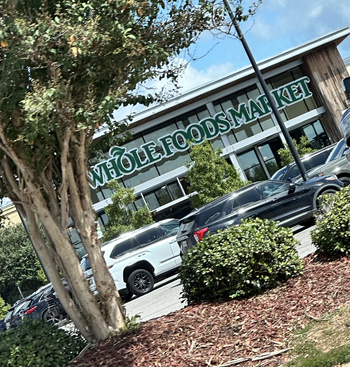 INALLMYSP1TE's tweet image. do y’all think hayley williams will be there?