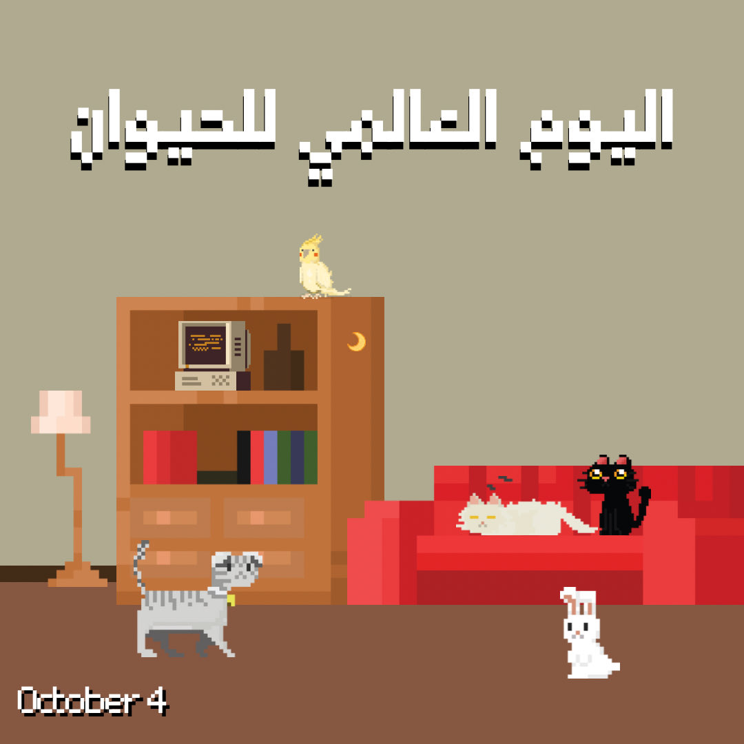 scoopy | سكوبي tweet media