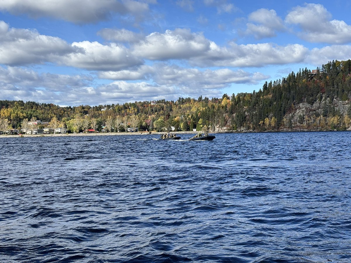 Not sure how this simple Prairie Soldier ended up on the water in northern Québec, but when I tell you I’m here for it….