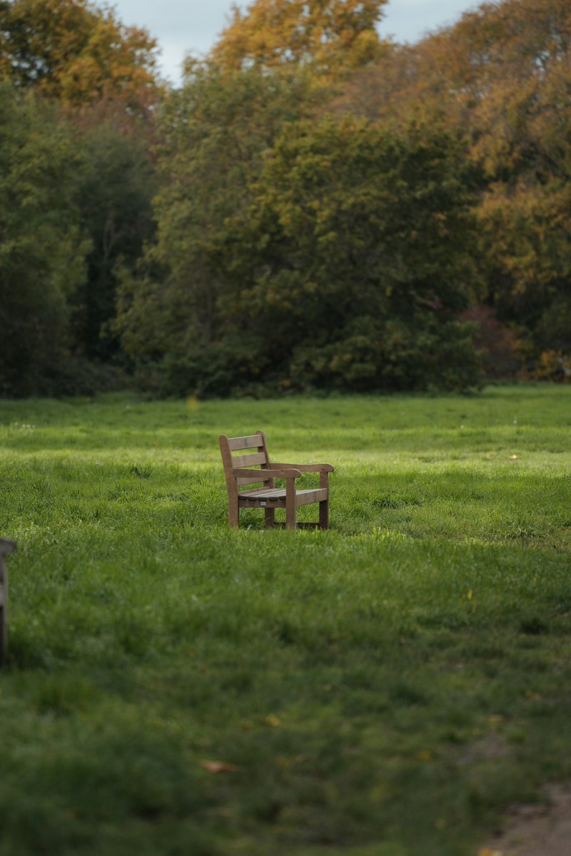 earthcurated's tweet image. Daily Object #2:

A Bench