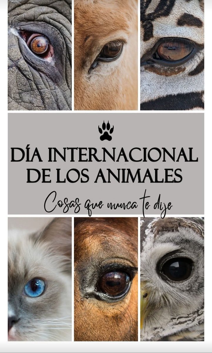 🐶🐱🐦🐢 Hoy celebramos el Día Mundial de los Animales 🐾, una fecha para recordar la importancia de respetar, cuidar y proteger a todas las especies con las que compartimos el planeta. 🌍💚
