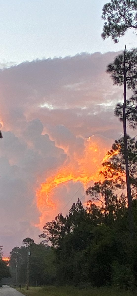 WhoDattBabyyy's tweet photo. God has been showing out 🥰🥰 https://t.co/6hEErjMDVQ