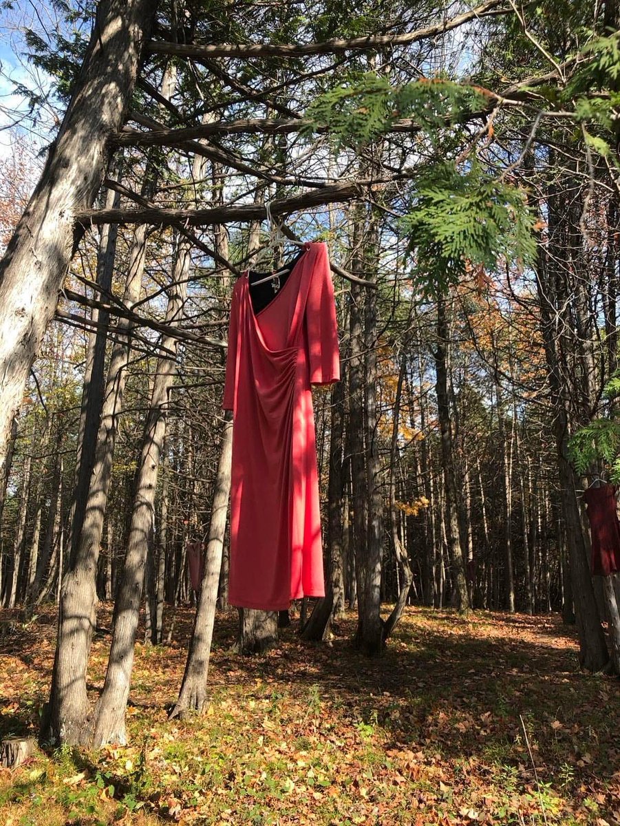 Today, on the National Day of Action and Awareness for Missing and Murdered Indigenous Women, we honour the lives of Indigenous women, girls, and 2SLGBTQIA+ people who have been lost to violence.

We remember their stories. We demand justice. We commit to action — now and always.