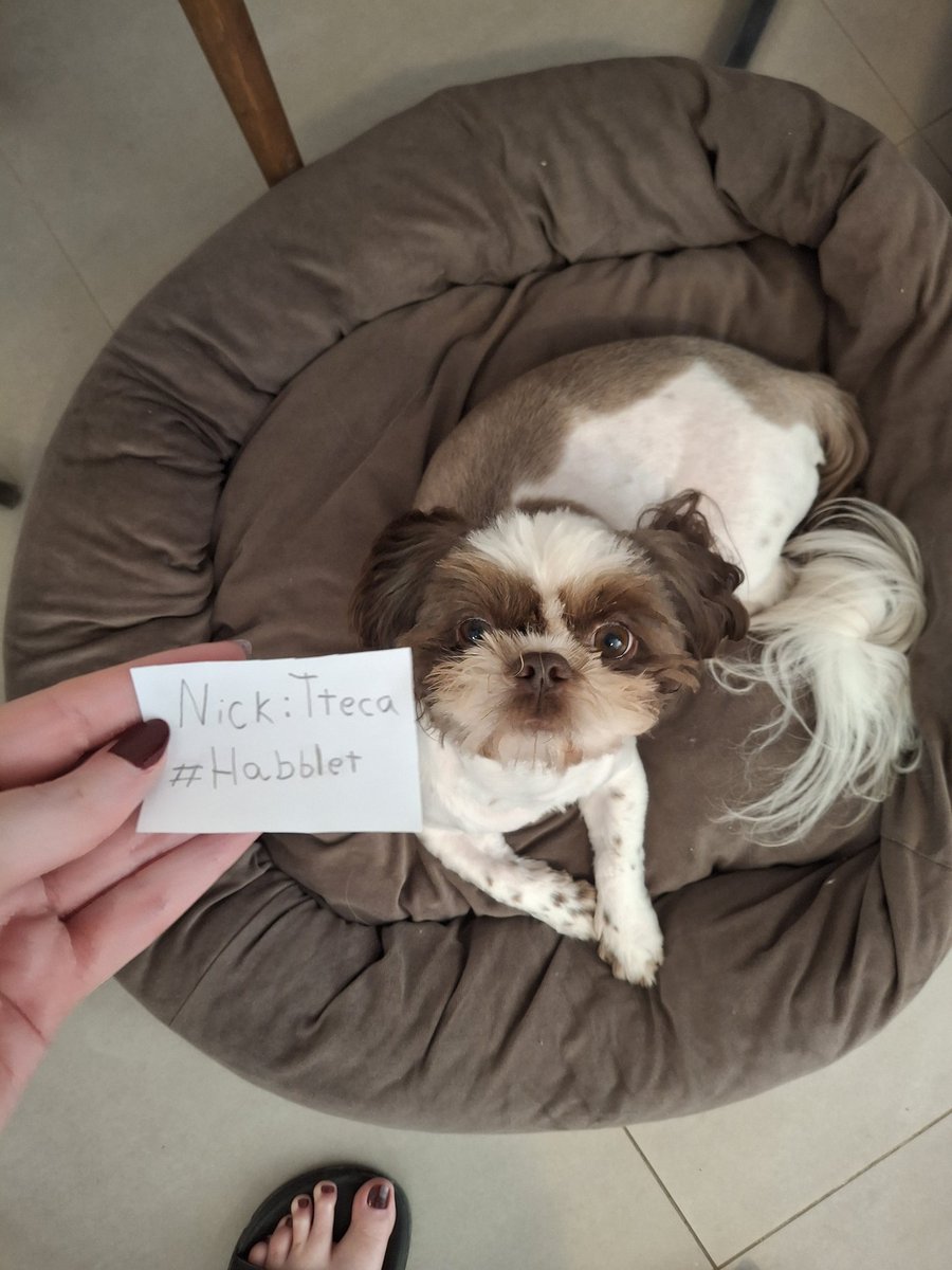 ꧁𝓣𝓽𝓮𝓬𝓪꧂ tweet media