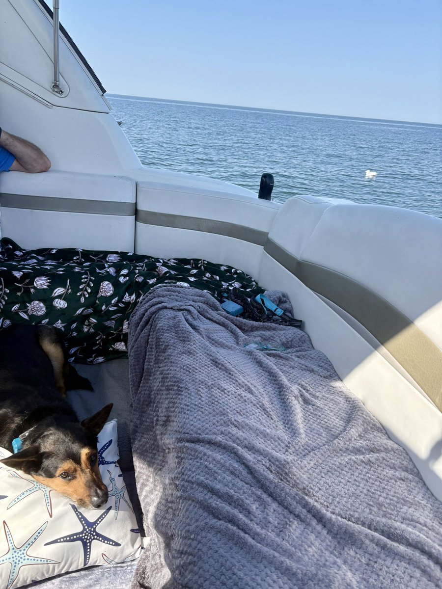 stmkrm's tweet photo. @SamRobertsWX Beautiful lake/beach day! https://t.co/qqqENHYDbo