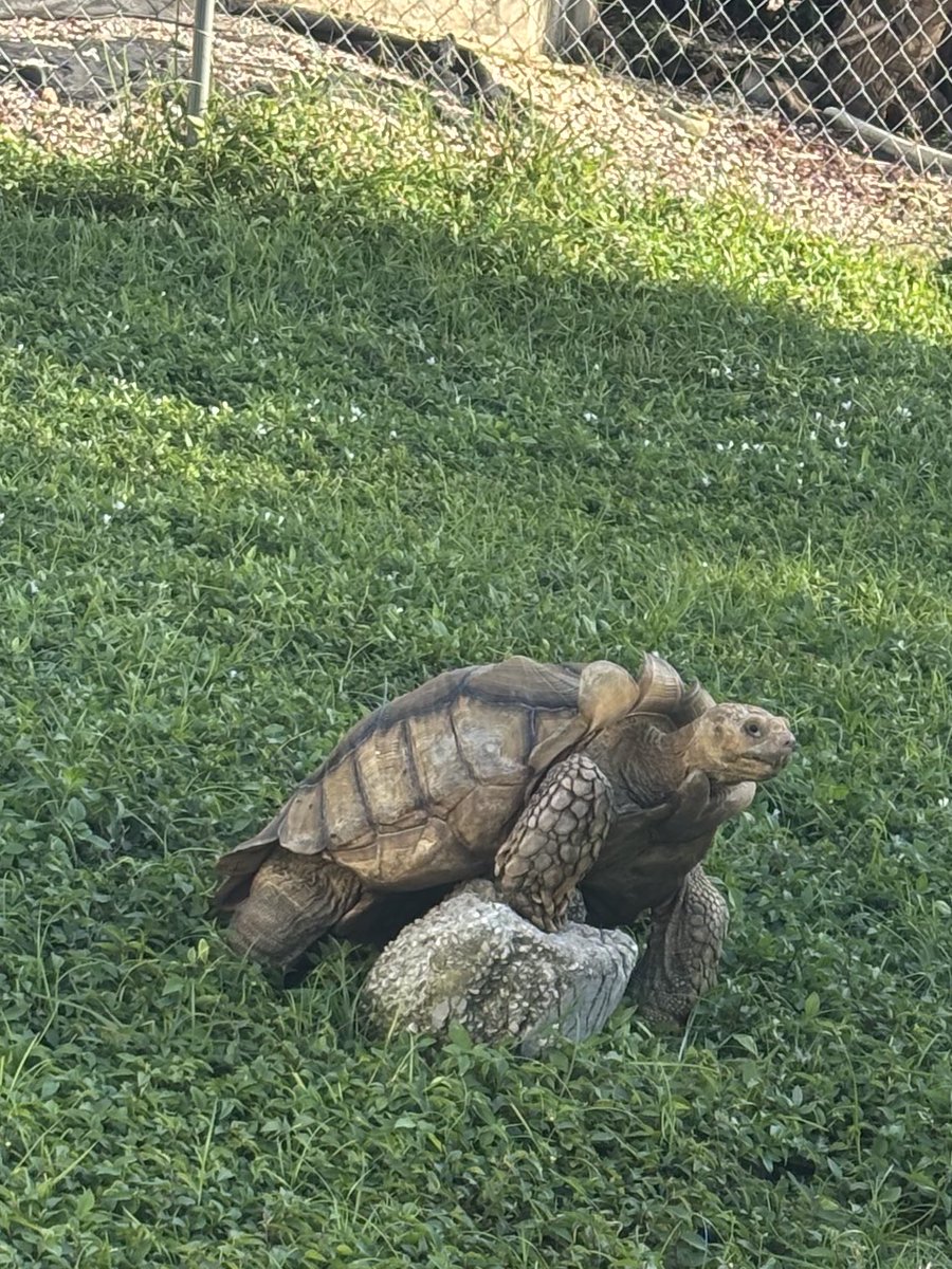 Alex | ItsTurn tweet media