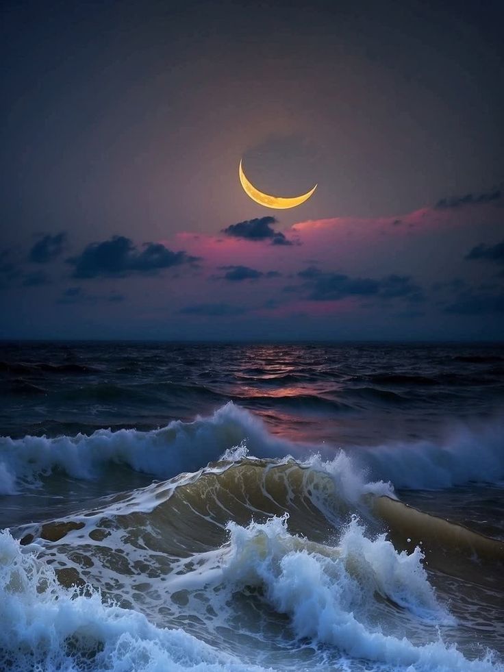 <a href="/Gina06170708/">🍃🅖🅘🅝🅐🍃</a> Good night Gina 🙏🌹.