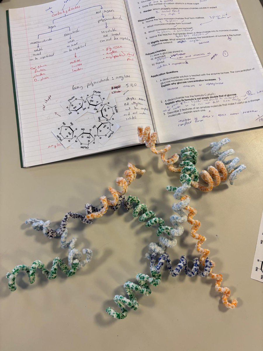 lawnswoodschool's tweet photo. Y12 #ALevelBiology students have been modelling polysaccharides in different ways to match structure to function #scientificmodelling https://t.co/zQlOQSv5gL