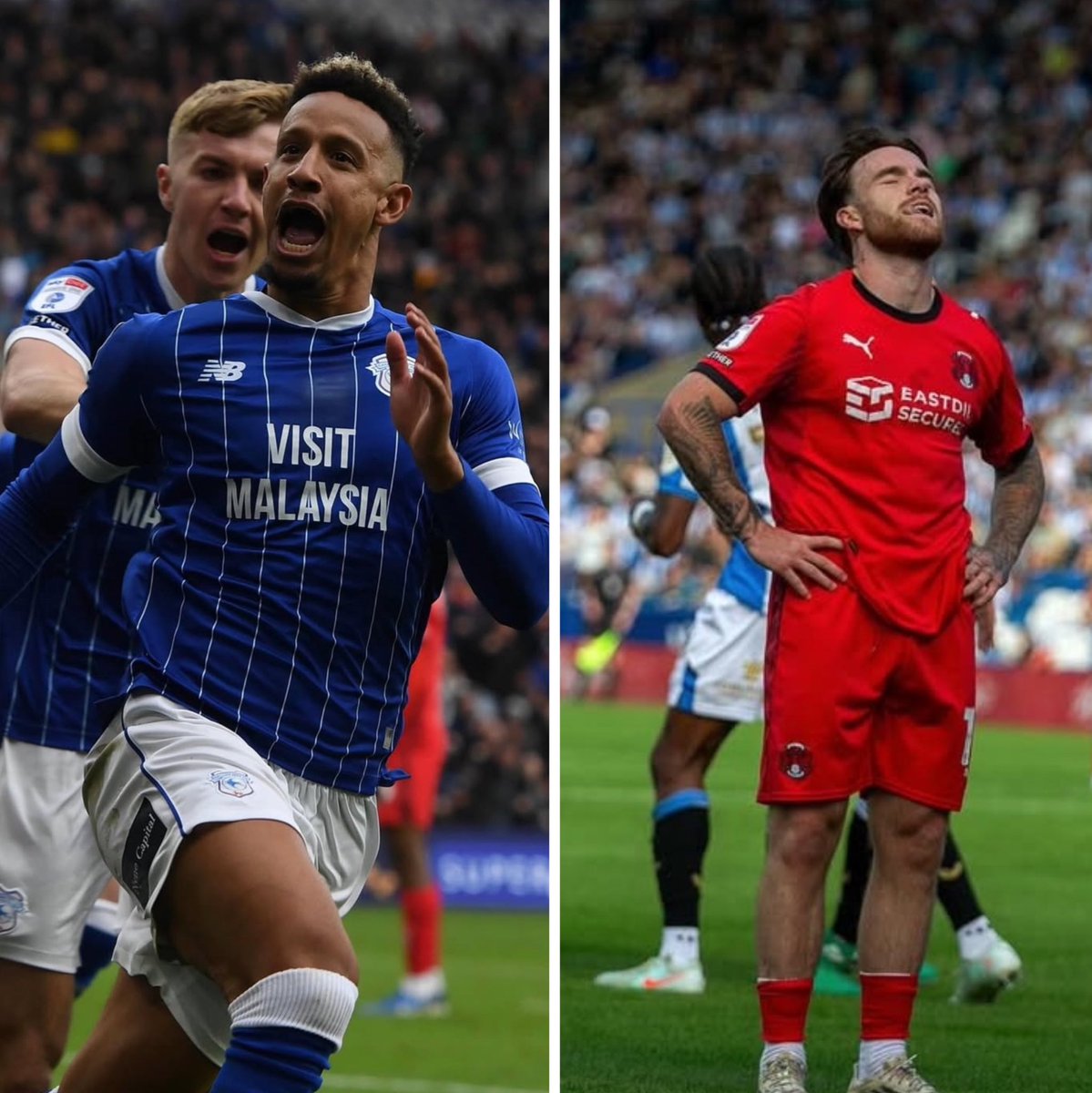 Reptracker | Conor McEvoy tweet media