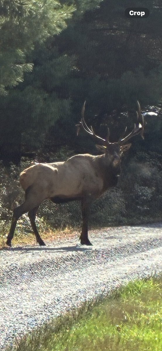 Pennsylvania Wilds is the place to be!