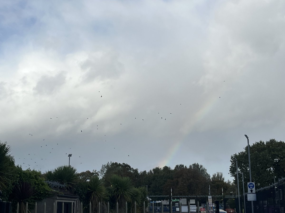 pangoman's tweet photo. Rainbow and crows (if you zoom in) https://t.co/kWx3cQczJ4