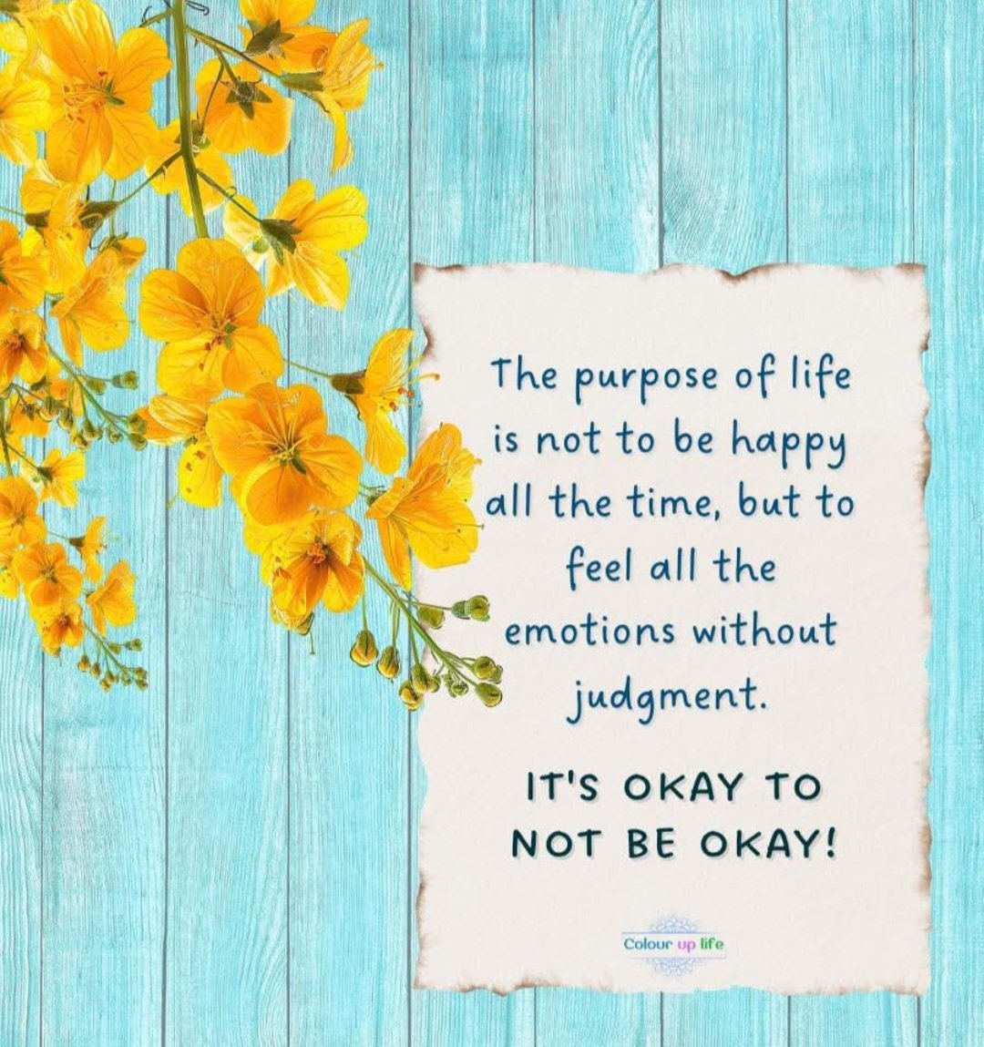 MichelleHardie6's tweet image. #saturdayfeeling