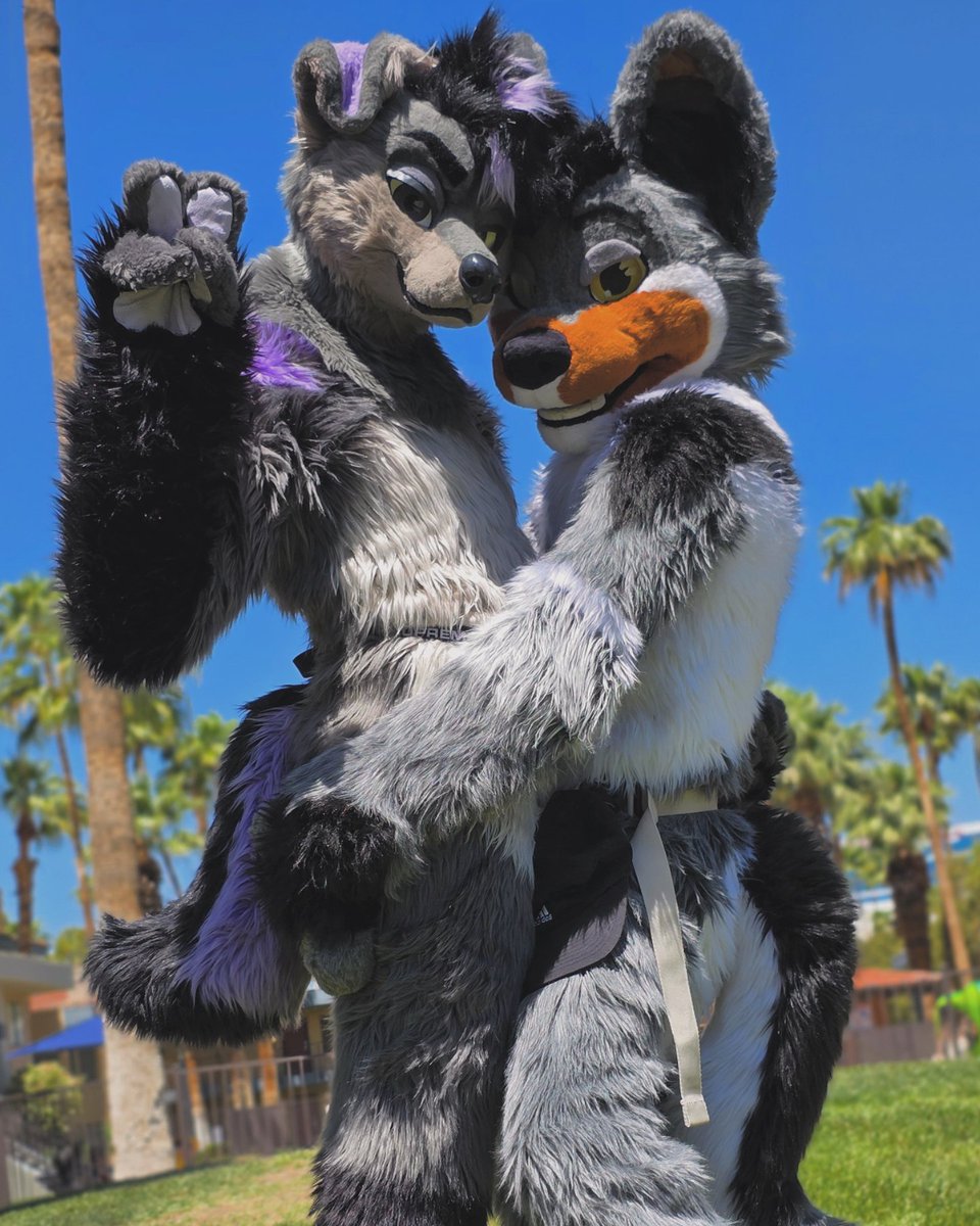 doggies 🐶 are in your area 🌵

(give them sushi)