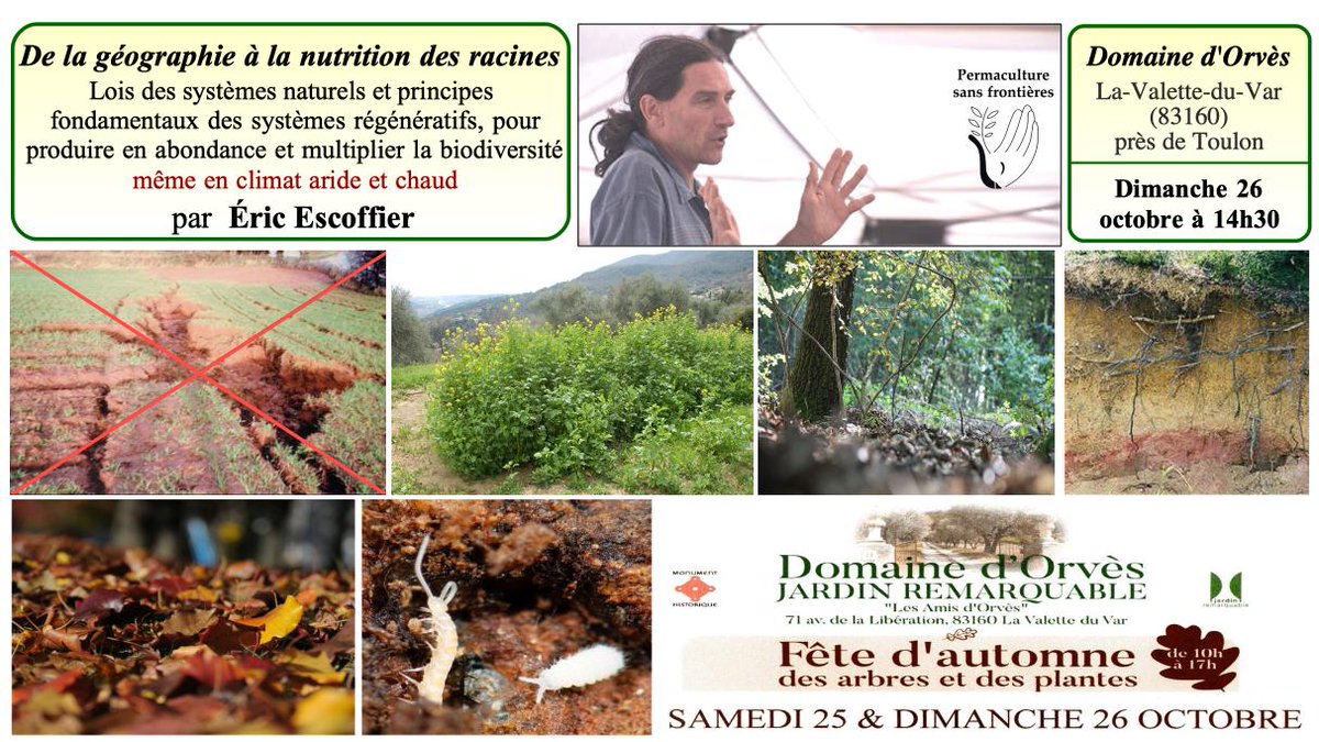 _Permaculture's tweet photo. Conférence par Éric Escoffier dimanche 26 octobre à 14h00 près de Toulon.
"De la géographie à la nutrition des racines - Lois des systèmes naturels et principes fondamentaux des systèmes régénératifs pour produire en abondance et régénérer la Terre, même en climat aride et chaud" https://t.co/PxuTPllfbt