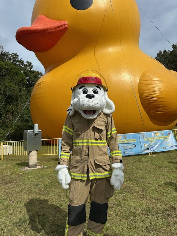 EffCoFireRescue's tweet image. We hope everyone had fun at the Faith and Blue/Duck Derby! Sparky was impressed with the world's largest rubber duck and met a fellow spotted mascot 😁
#effinghamcountyga #springfieldga #guytonga #rinconga #sparkythefiredog