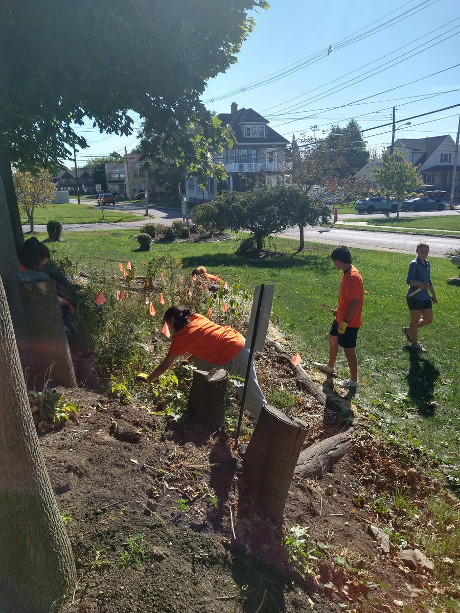 Grassroots Gardens WNY tweet media