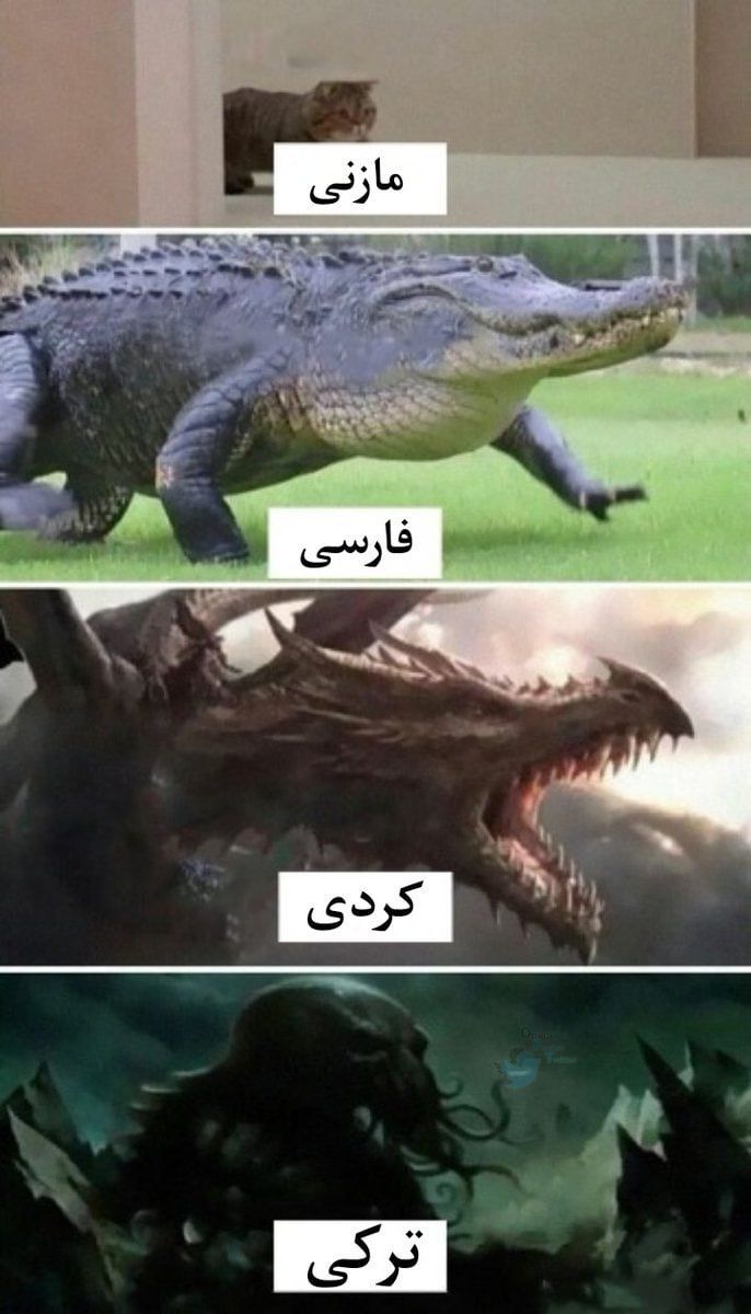 آتئیستم بخدا tweet media