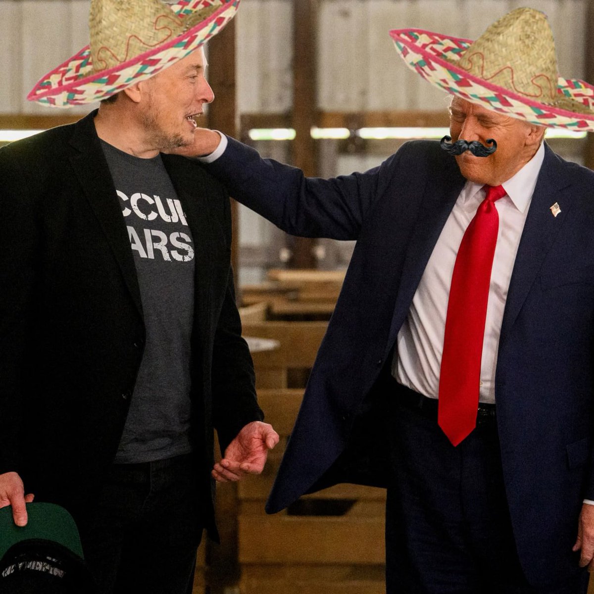 Sombrero meme coin promotional image