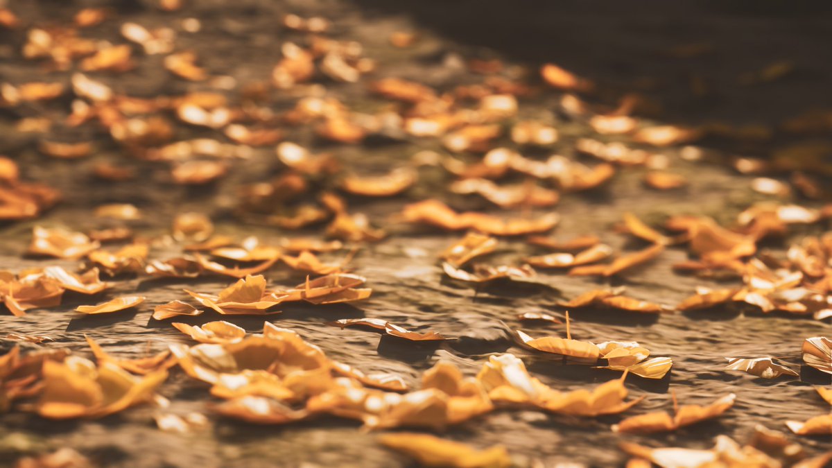 Norica VP tweet media