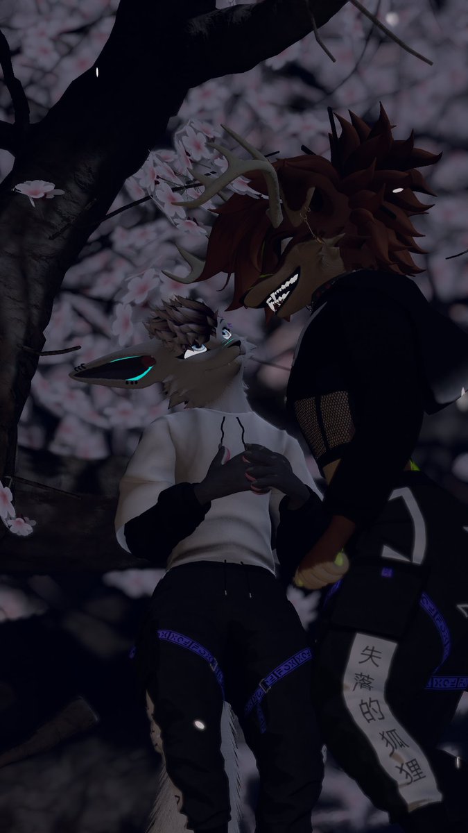 Solstice / Sol → TFF!! tweet media