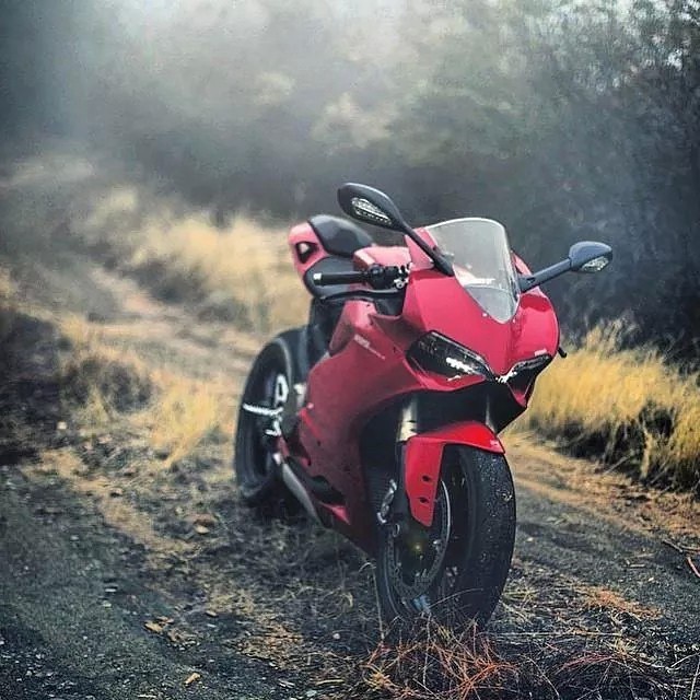 MoreMotorcycles's tweet photo. #Ducati Panigale https://t.co/guBGoRXFkR