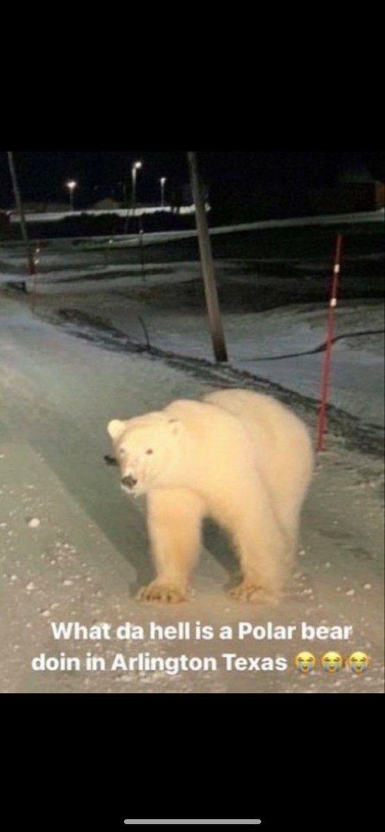 EN_Ball55 tweet media