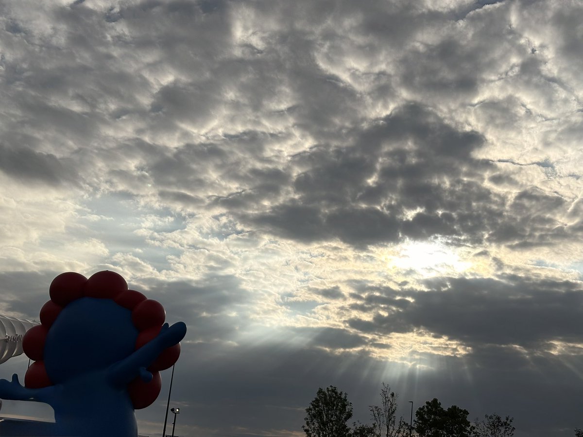 ごあき tweet media