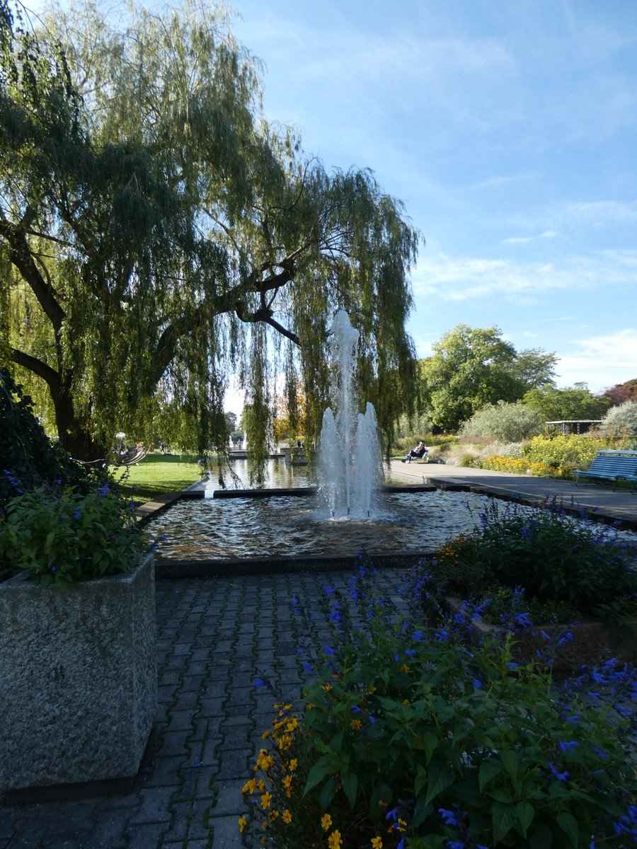 Jedes Jahr zur Kürbiszeit werden Skulpturen aus Kürbise aufgebaut, die bestaunt werden können und pünktlich Ende Oktober können die "geschlachtet" werden. Die ega lässt sich da immer jedes Jahr aufs Neue etwas einfallen. 
Aber auch die Dahlienzeit ist nun ran.