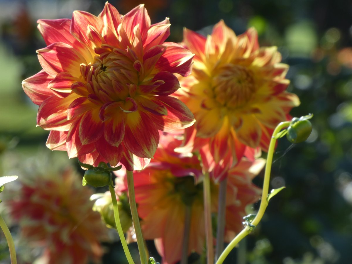 Und wie bereits schon erwähnt, heute dafür garstiges Herbstwetter. Perfekt zum Backen und ausruhen.