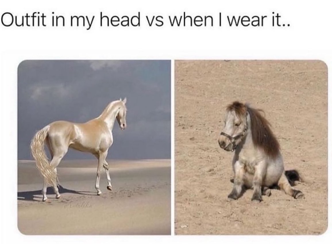 Statelinetack.com (@statelinetack) on Twitter photo 