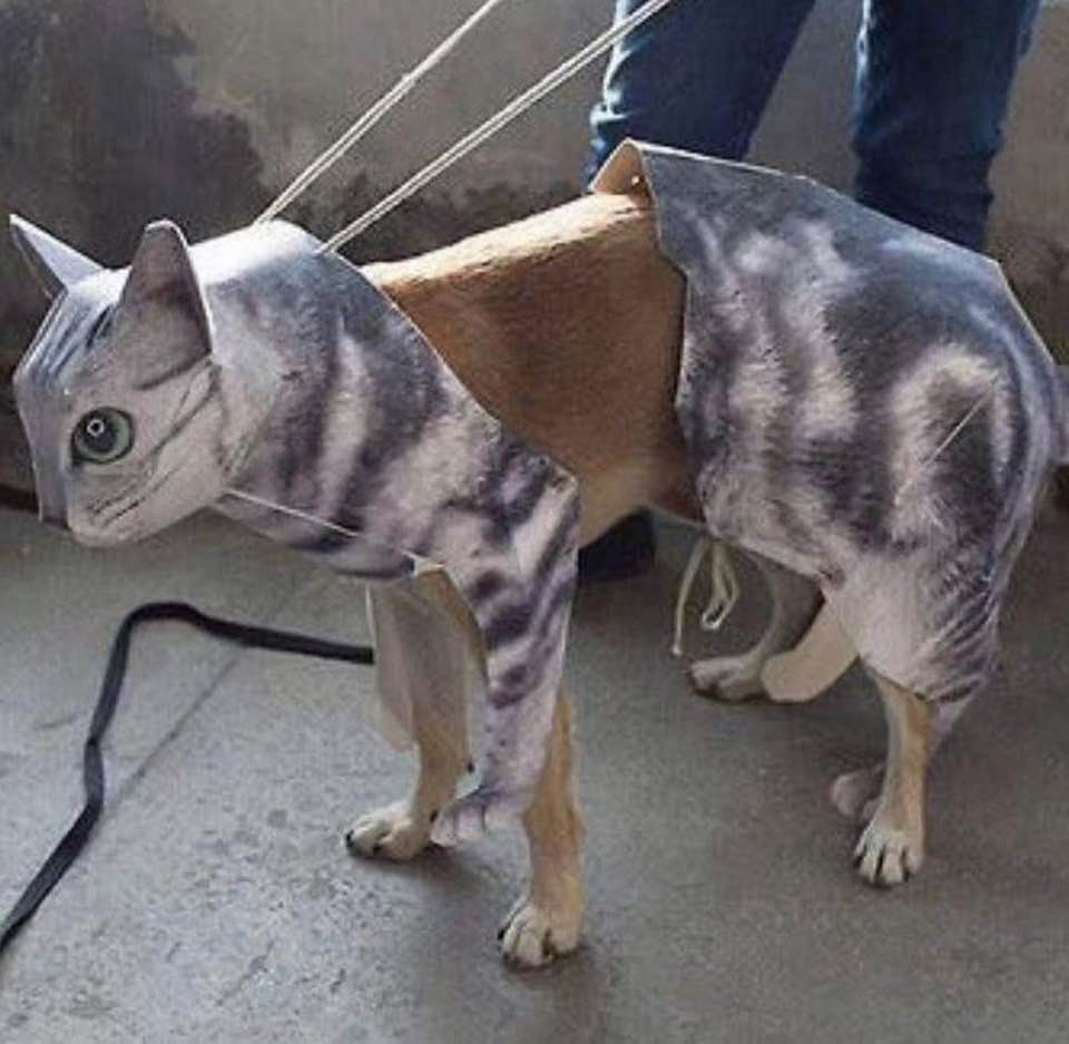 DFIRgeek's tweet image. Baby Trojan v.2