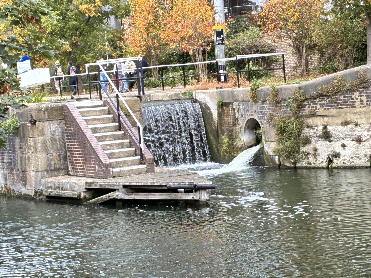 natasha nicole roffe @natwhatyou’dexpect (@nroffe) on Twitter photo 