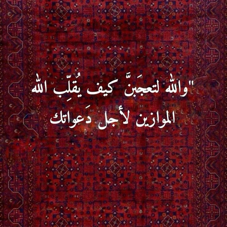 salabdullah33's tweet photo. يارب❤️ https://t.co/nO3WhwYhkk