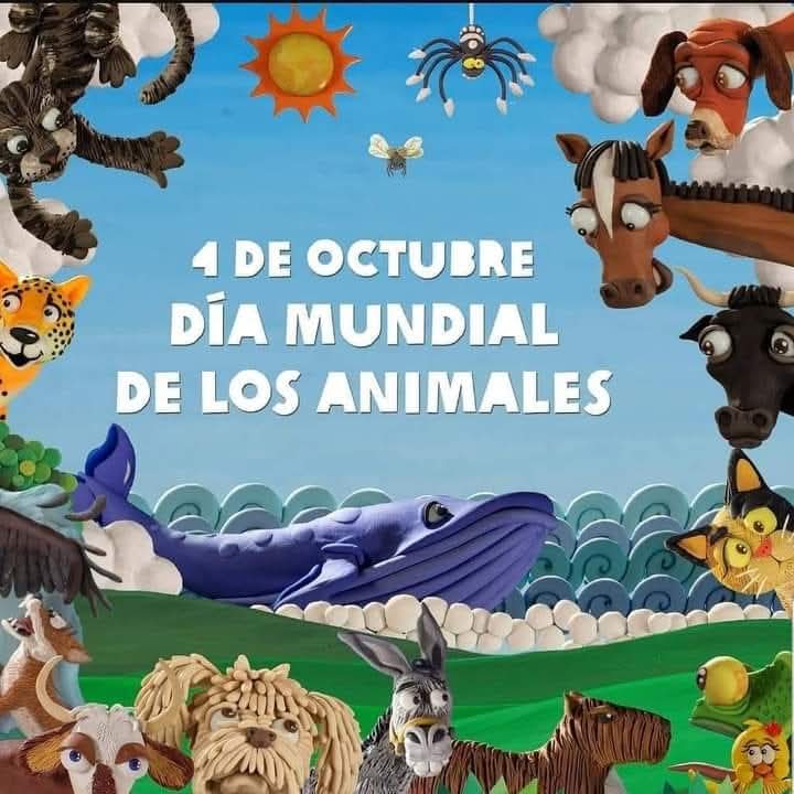embrujadabella's tweet photo. https://t.co/ngDplRGwlx