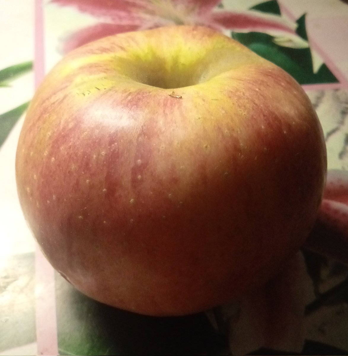 zov_moroz's tweet image. Яблочко 0,4 кг 🤓 Не апорт, к сожалению #Алматы