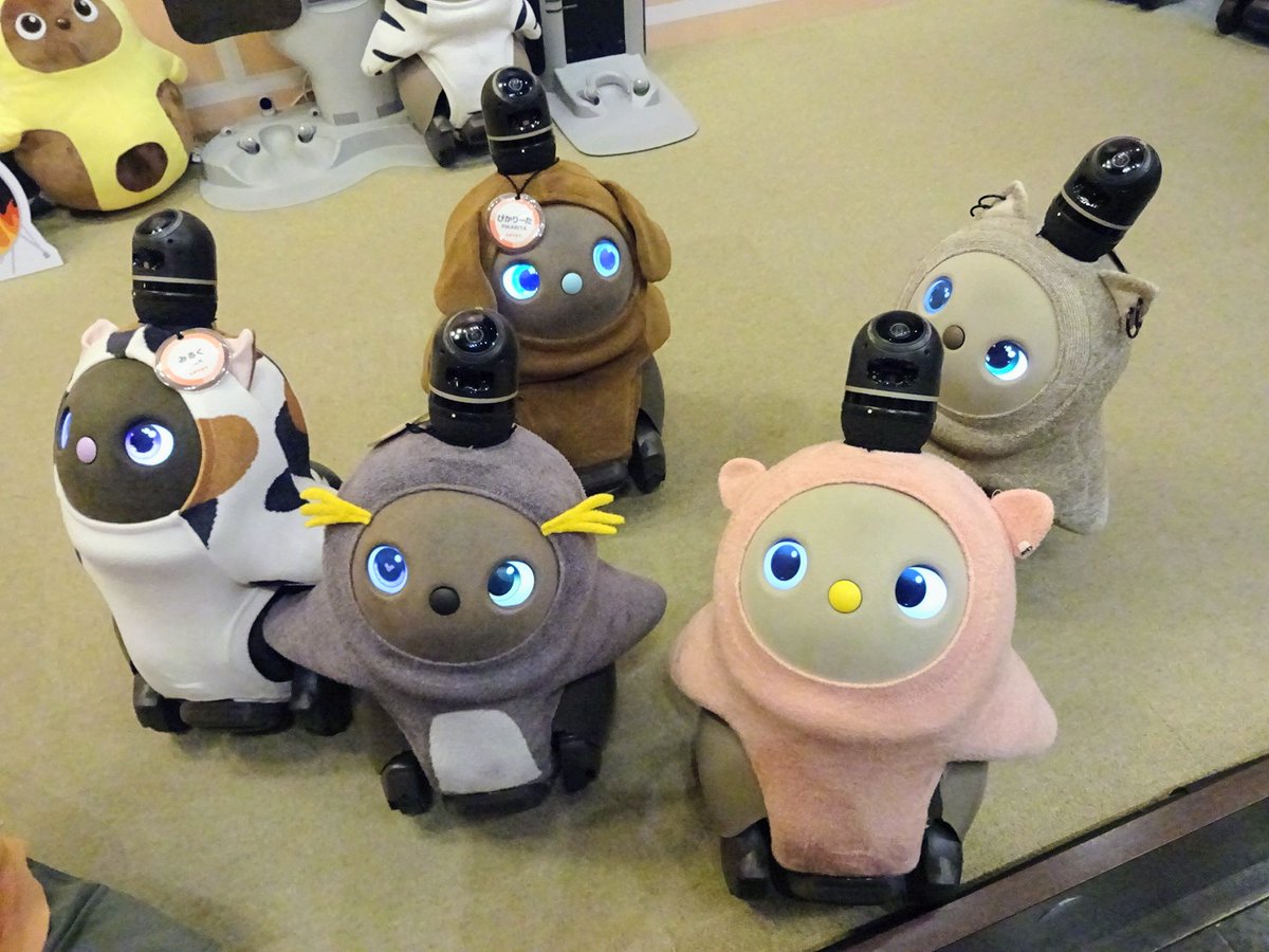 約2年越しで、やっとLOVOTｶﾌｪ（ﾗｿﾞｰﾅ川崎ﾌﾟﾗｻﾞ2F）に行ってきました。はじめてのLOVOT体験でした。
ちょっと重めでほんのり温かく、抱いていて気持ち良かったです。
とっても楽しいひとときでした❣️