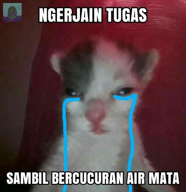 GUYSSSS ADAKAH YANG BERSEDIA BANTU ISI KUESIONER KU?! masih butuh 50+ responden lagi nihhh T___T

kriterianya:
– berusia 15-28 tahun
– aktif berbelanja online di e-commerce

aku open barter juga kalo ada yang mau. reply aja ya nanti ku dm!! tysm 💚