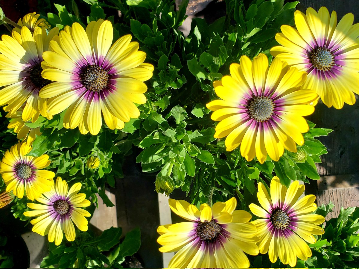 Saturday morning vibes. SoCal