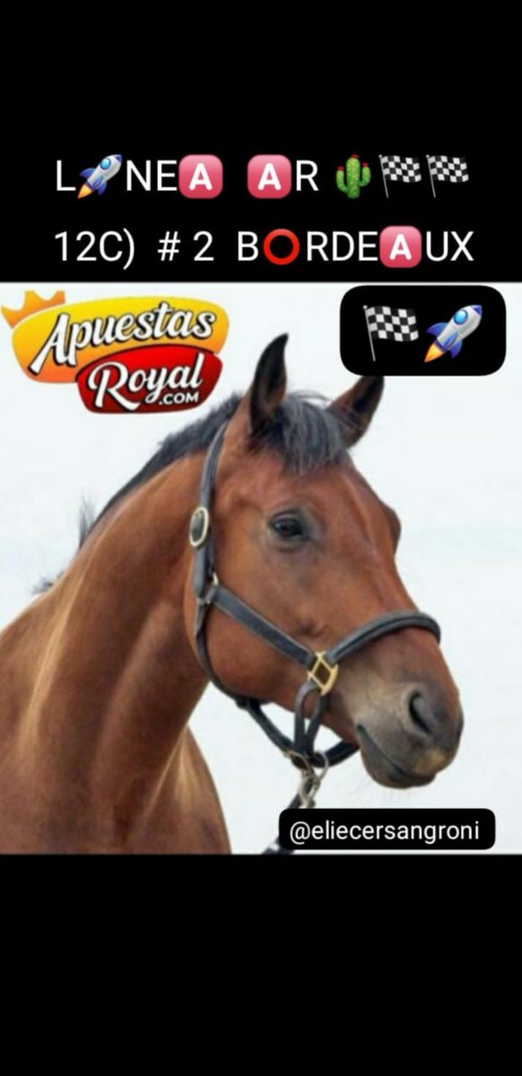 Eliecersangroni's tweet photo. ELIECER SANGRONIS 🌵🐎🌐
#DOMINGO  #05Oct  
@apuestasroyall  #ruletaroyal 
INGRESA A 
WWW. https://t.co/mQAOLm8dbY  Y REALIZA TODAS TUS JUGADAS DEPORTIVAS  #Hipismo 🐎🏁 EN 
#ApuestasRoyal GANAS Y COBRAS SEGURO ⤵️
🅰️R   PRESENTA SU L🚀NEA #5Y6
12C)  #  2  B⭕RDE🅰️UX🏁🐎🏁⤵️ https://t.co/Bxt4zZd2cp