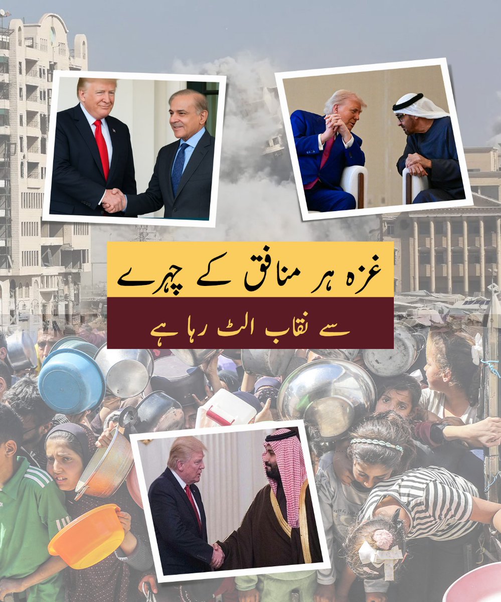 Shaista saleem tweet media