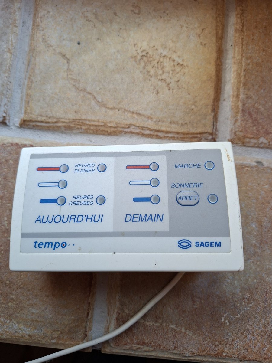 BorntobeRoot tweet media