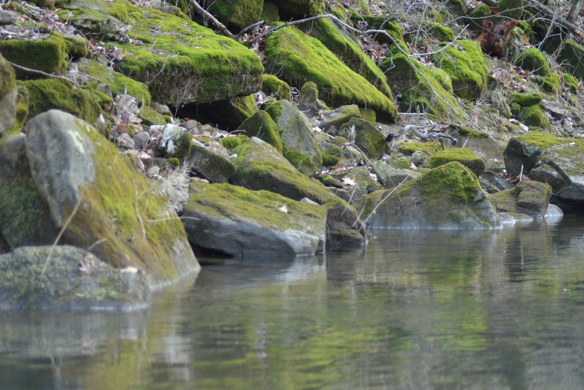 Megan Morrow tweet media