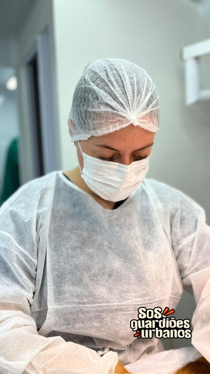 castralat's tweet photo. Más de 2000 #Veterinarios participan hoy #diamundialdelosanimales en esta cruzada de bondad única en el mundo llamada #Castralat

Esterilizando al unísono a miles de animales en todo un Continente, unido para combatir el abandono de forma ética y humanitaria

Eso es Castralat https://t.co/DQzCNI85KA