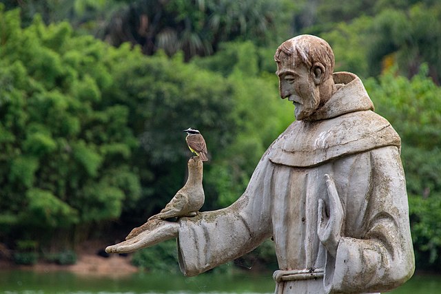 Make statues of St. Francis at all times
When necessary, use birds