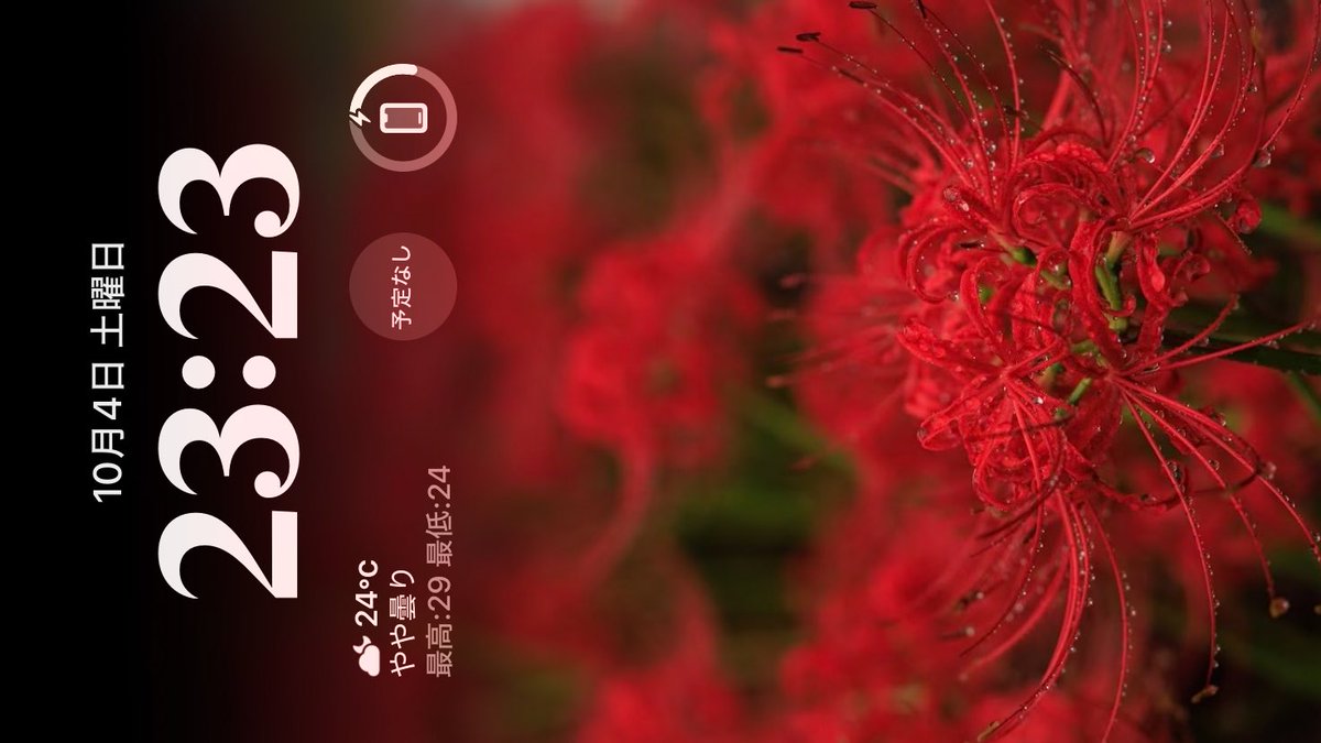 み ず た 𓃱 ⸒⸒ tweet media